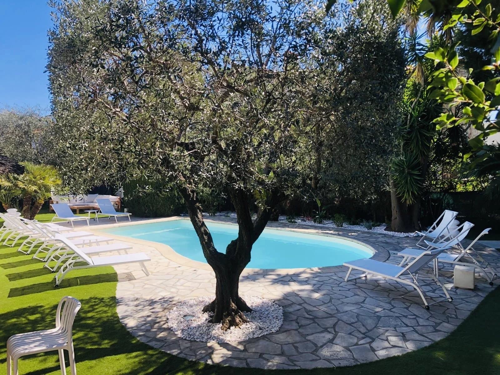 Villa Alba, location villa Cannes — photo 3