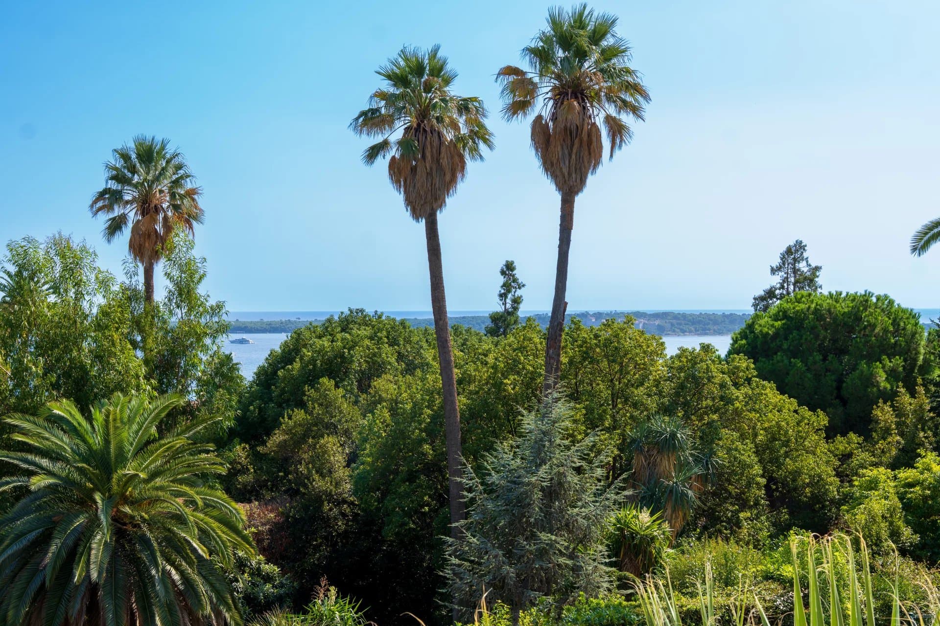 For Sale Cannes, apartment for sale in Cannes
